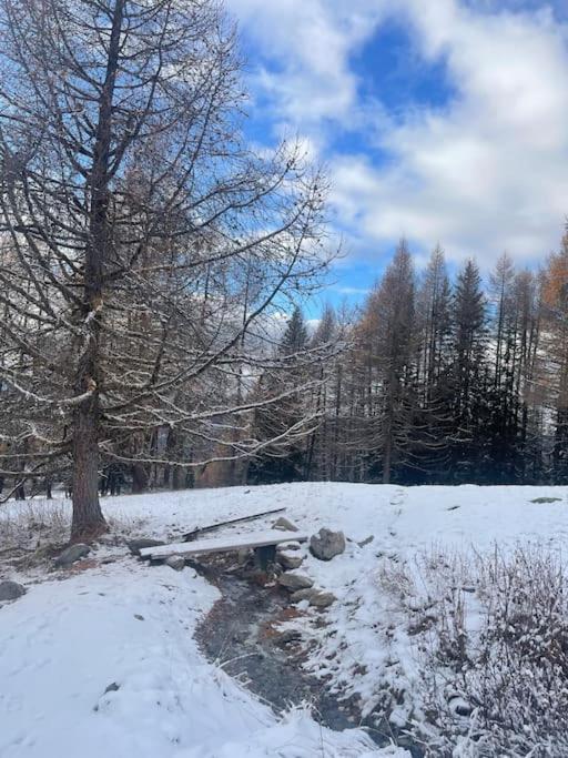בור סן מוריס Confort Et Espace Pour Cet Appartement Duplex De 100 M2 Avec Grand Sejour Expose Sud Avec Cheminee, 4 Chambres , Acces Direct Aux Pistes De Ski Et Au Golf Dans La Residence Edenarc Avec Piscine, Jacuzzi Et Spa מראה חיצוני תמונה
